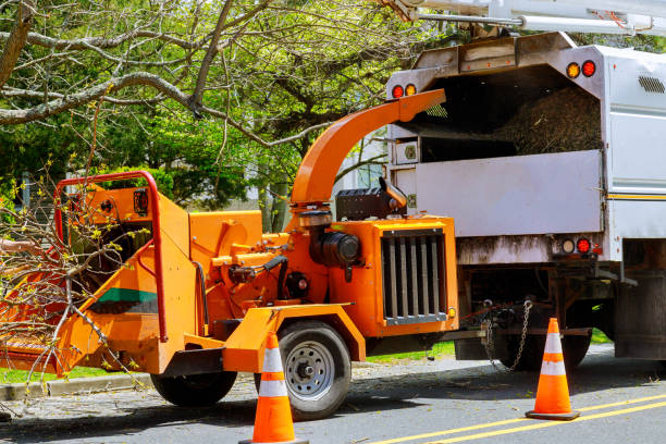 Lawn Drainage Solutions in Clatskanie, OR